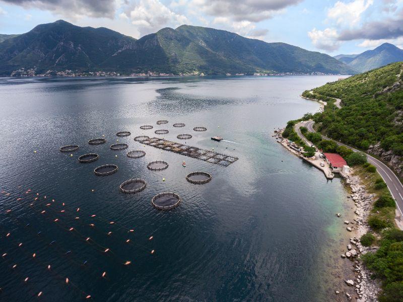 Coastal Aquaculture Ponds